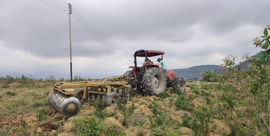 UNET Sal Tuq Rub 0000