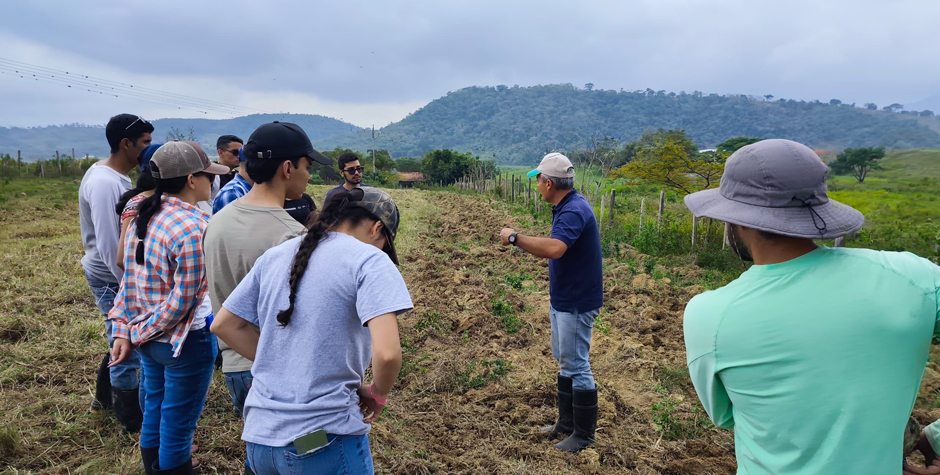 UNET Sal Tuq Rub 0001